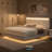 Bocar Standard Platform Bed-170009323-170009322