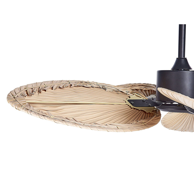 Aschwin 123cm Ceiling Fan with Light Kit