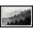 "Foggy Dawn" Framed Print-1710493182