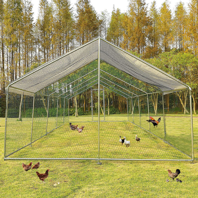 «Walk In Chicken Run» pour jusqu'à 72 poulets, H 78,84 po x l 118,80 po x P 354,00 po