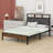 Bed Platform  Bedside With Soft Package And Usbs-1773039248