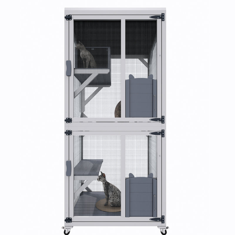 Enceinte d'extérieur pour chat sur roulettes, maison en bois gris 71,2 po avec plateformes, portes verrouillables, plateau amovible pour le bien-être à plusieurs niveaux à l'intérieur et au soleil