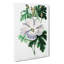 White Hibiscus Flower - Wrapped Canvas Print-55300902