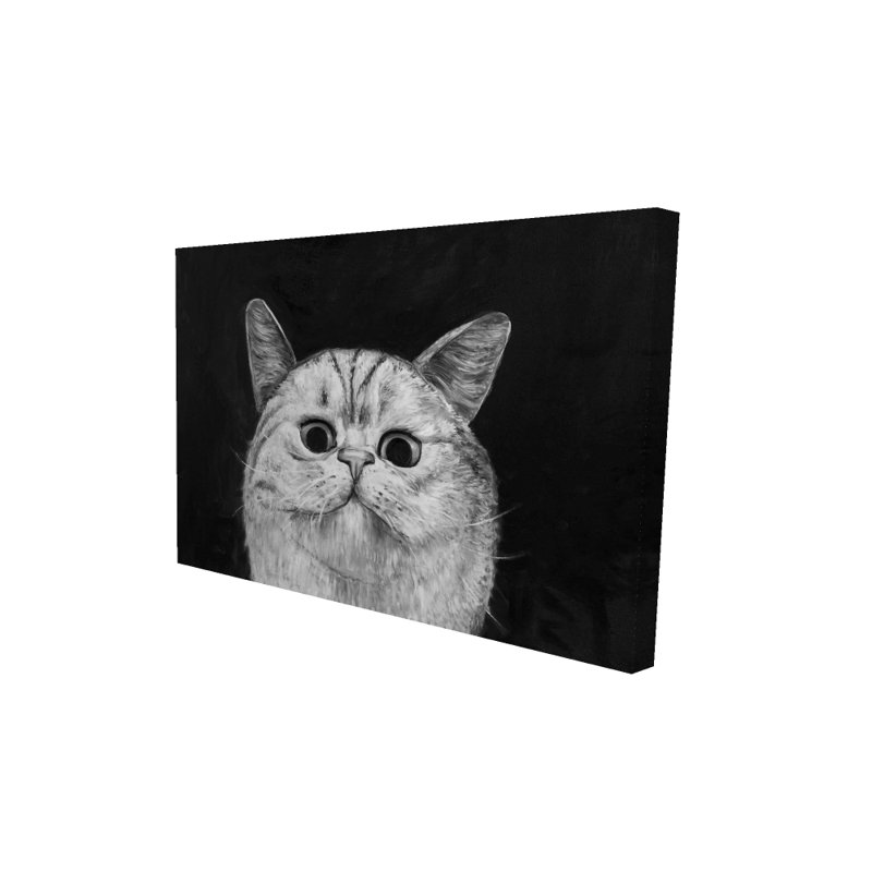 Chien regardant un chat