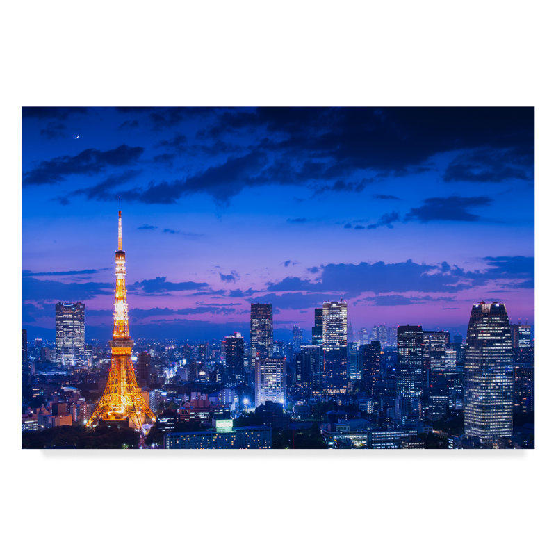 « tokyo night view », reproduction de photo sur toile tendue, H 22 po x l 32 po x P 2 po