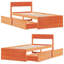 Losurdo Solid Wood Bed-315125615-315125589