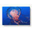 Jellyfish In Pink & Blue In Abstract - Wrapped Canvas-55308355