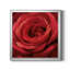 Solo Solo - photographie sur toile encadrée-96482035-96482046