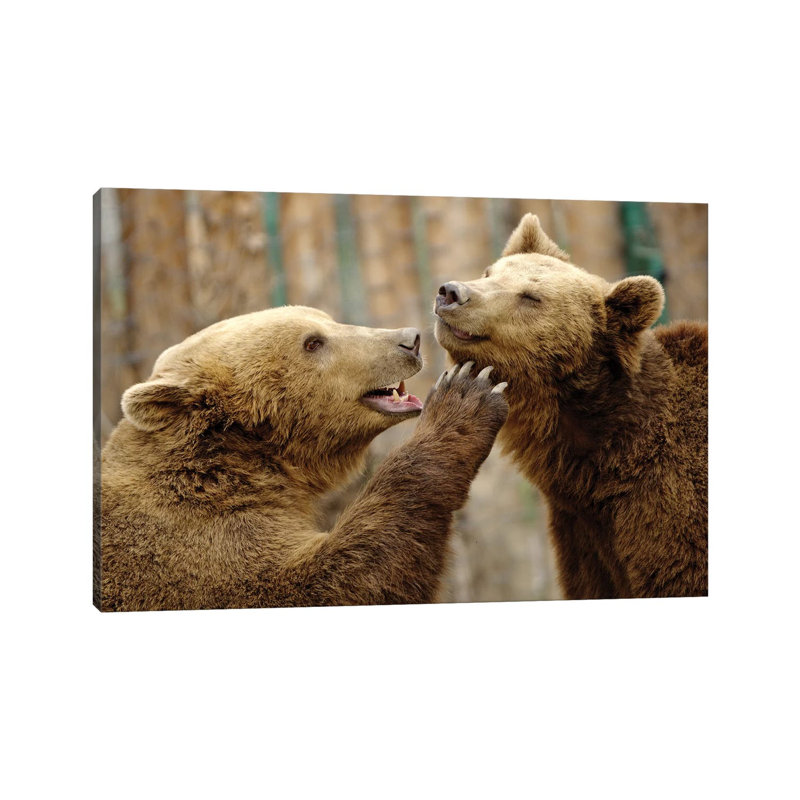 Real Love by Goran Anastasovski - Wrapped Canvas Print, 20.32 cm H x 30.48 cm W