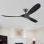 Ventilateur de plafond Black Soild-1630787295