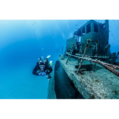" Wreck Rozi " by Wojciech-P