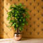 90cm Faux Tree in Metal Planter-101685142