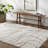 Rectangle Curameng Abstract Machine Woven Polyester Area Rug in Gray/Brown-1738019479