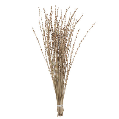 Ophelia & Co. 36-38" Natural Deglet Nour Branch Bundle