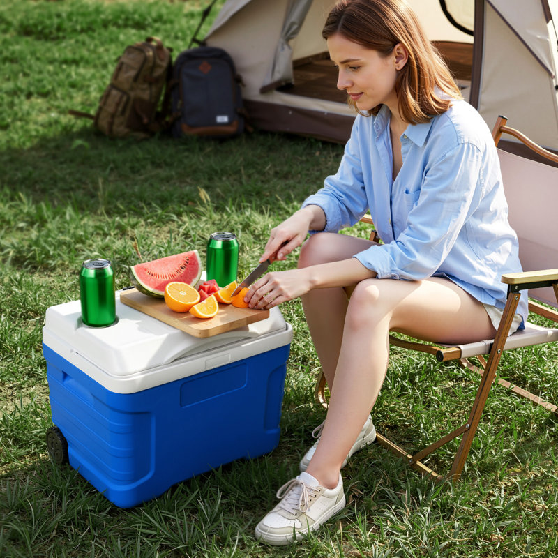 Hard Cooler, 21QT Portable Rolling Cooler with Wheels, Leak-Resistant Coolbox Keeps Contents Cool for 48 Hours, Ice Retention Insulated Chests, Ultra-Light for Outdoor Picnics, Grill, Camping