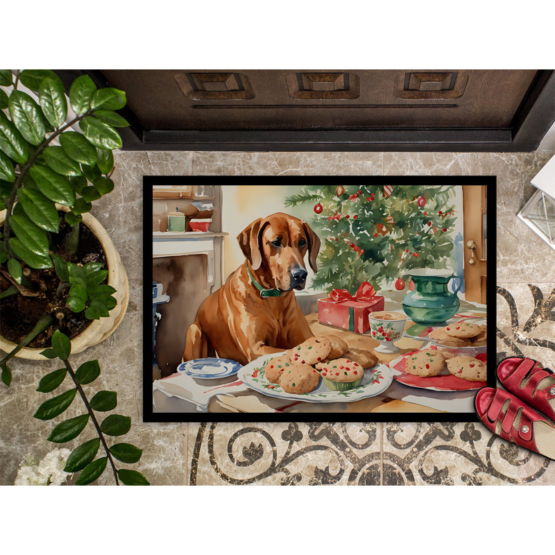 Junya Non-Slip Christmas Indoor / Outdoor Doormat, L 24 po x L 36 po