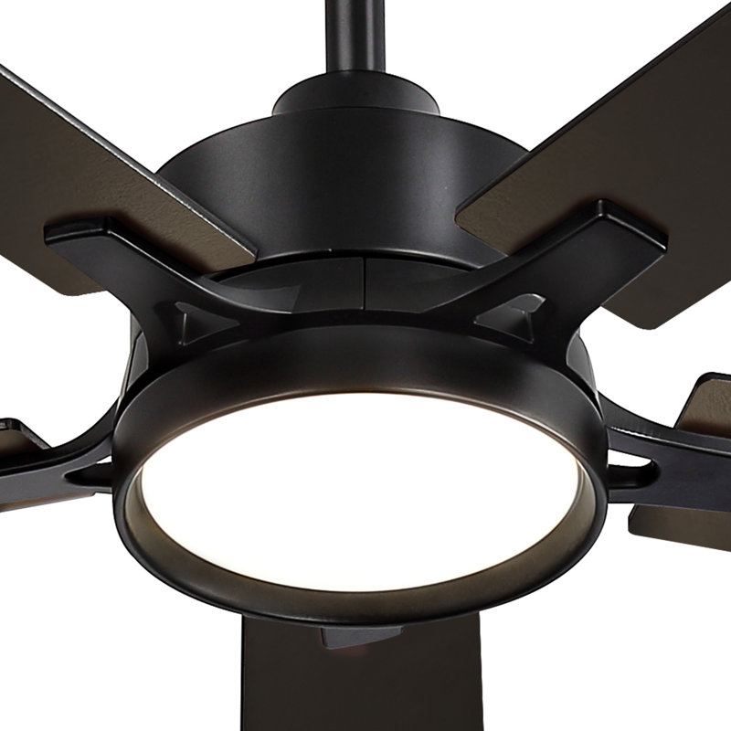  Ventilateur de plafond noir moderne 52 po avec lumière et télécommande Cissline pour chambre à coucher et salon
