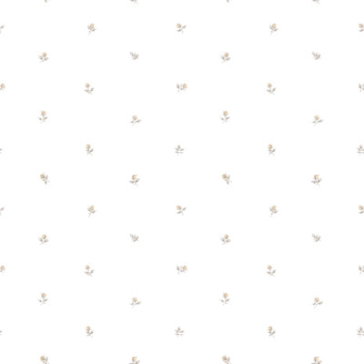 Devaughn 10m x 53cm Matte Wallpaper Roll