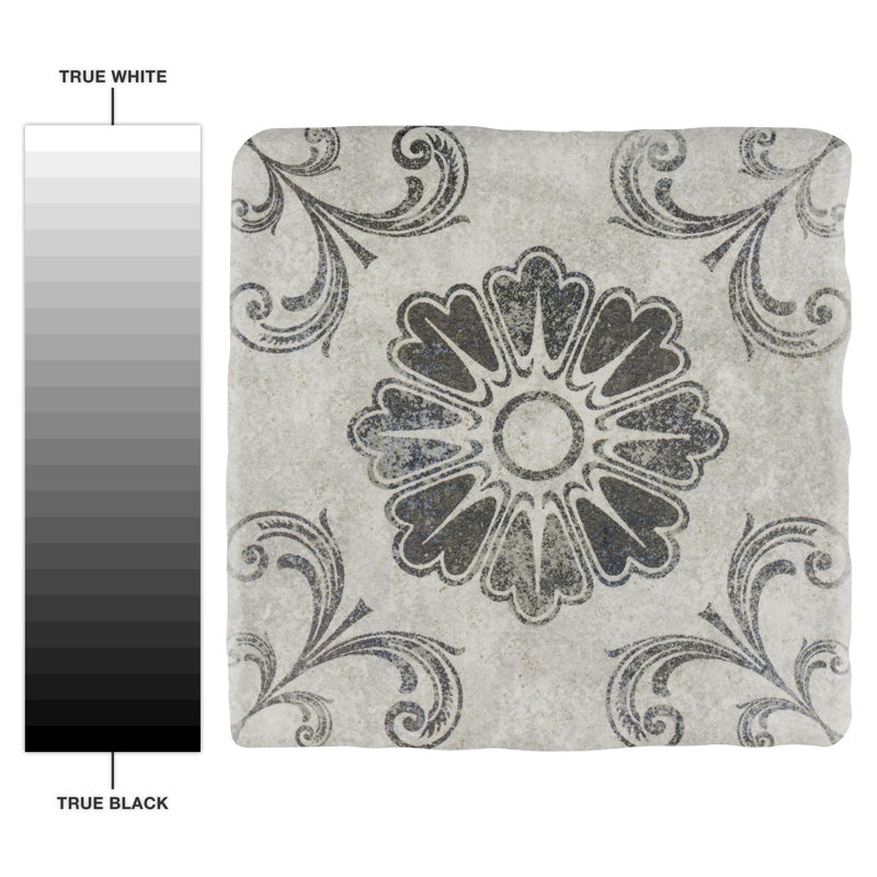 Costa 8" x 8" Ceramic Patterned Wall & Floor Tile