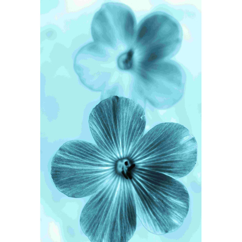 «Forget Me Not Blue I» par Teton Parchment - impression sur toile tendue, H 18 po x l 12 po