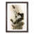Walnut Framed selected