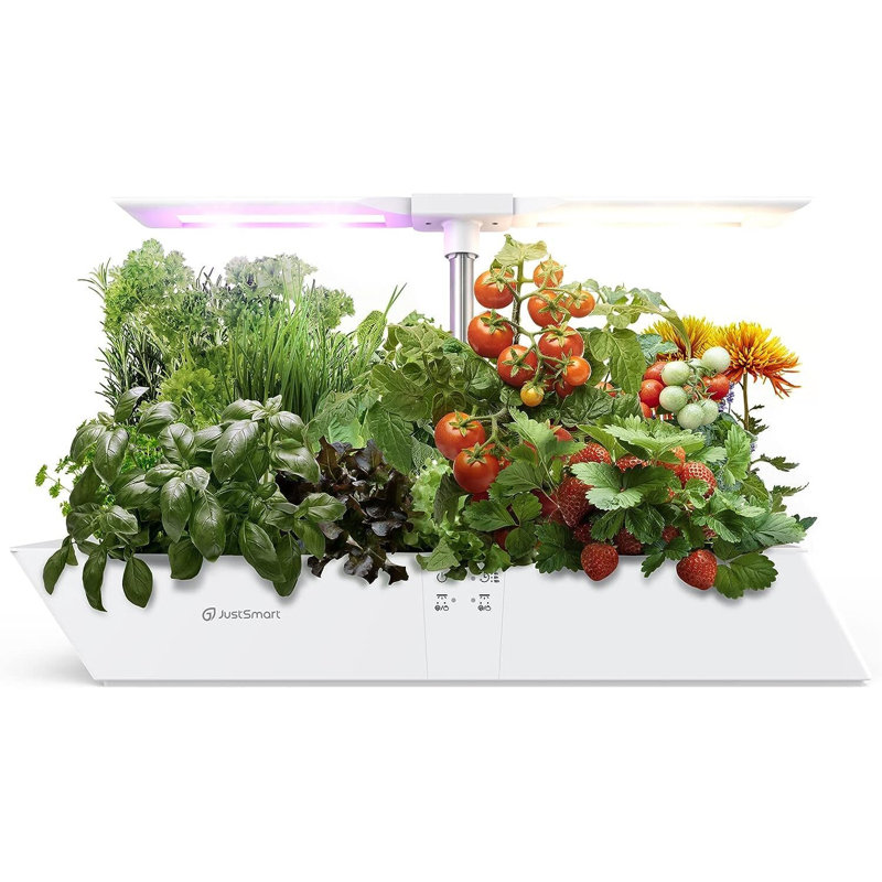 Système de culture 12 plantes