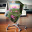 Coussin décoratif à motif floral en fleur de lotus fleurs au coucher de soleil-29075807-29075810