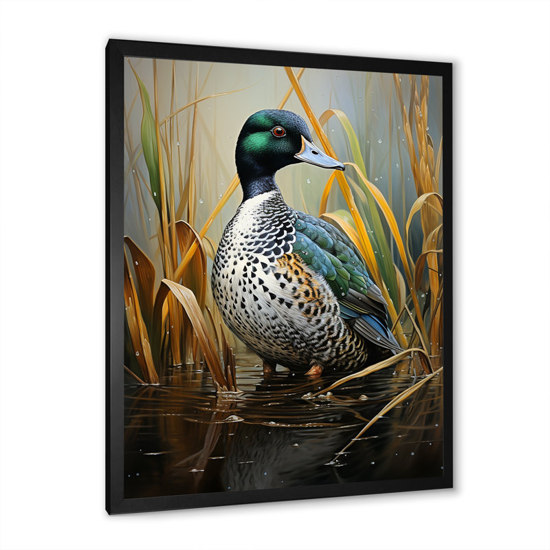 Canard Drake à l'étang I, Cadre simple noir, H 32 po x l 24 po x P 1 po