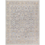 Oriental Machine Woven Polyester/Polypropylene Area Rug in Gray/Light Blue/Orange