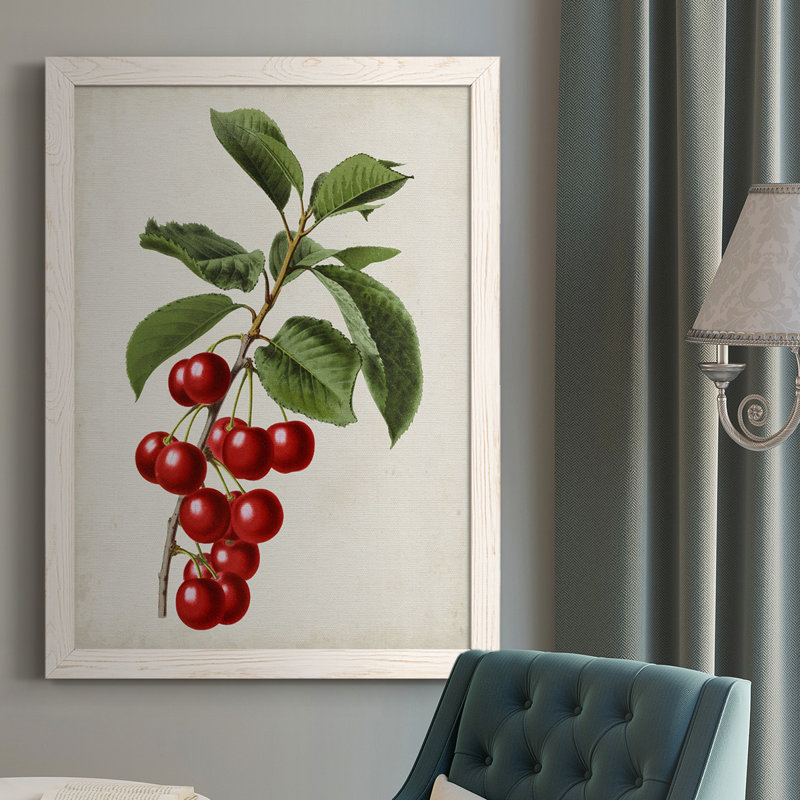 Antique Fruit II - Cadre photo unique, impression sur toile, Blanc, H 37,5 po x l 27,5 po x P 1 po