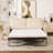 2 Seater Sleeper Sofa Bed, Pull Out Couch with Mattress-1014806112-1011564662-1014857984