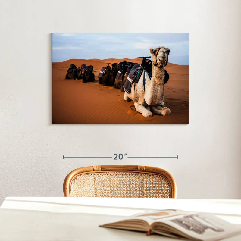 Chameaux Brampt au Maroc, H 16 po x l 24 po