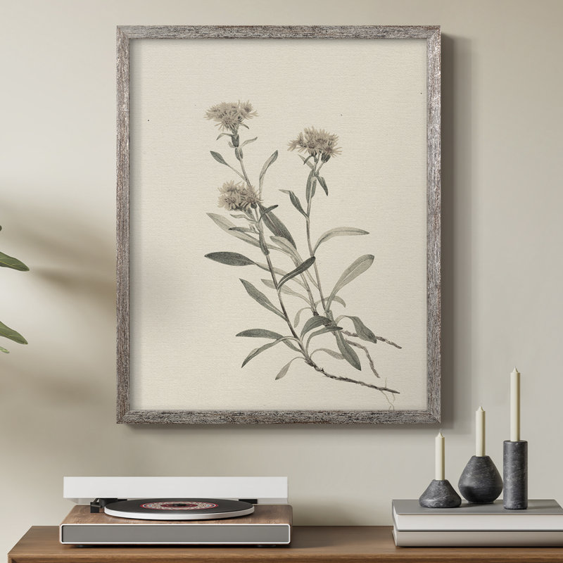 Impression florale vintage encadrée CXCIX - bois massif, H 21 po x l 17 po
