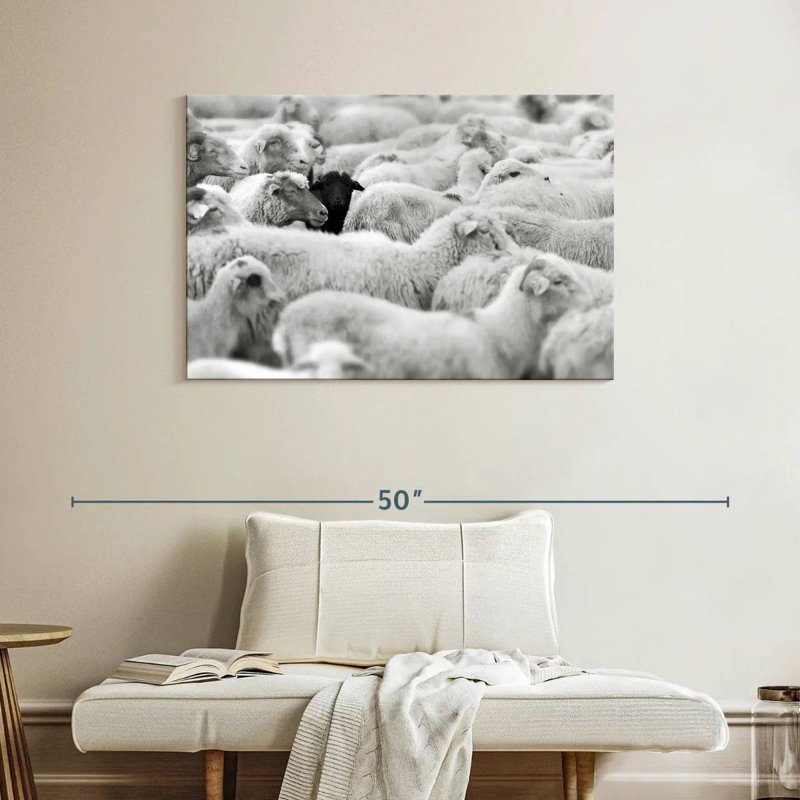 Distinct Black Sheep, 26" H x 39" W