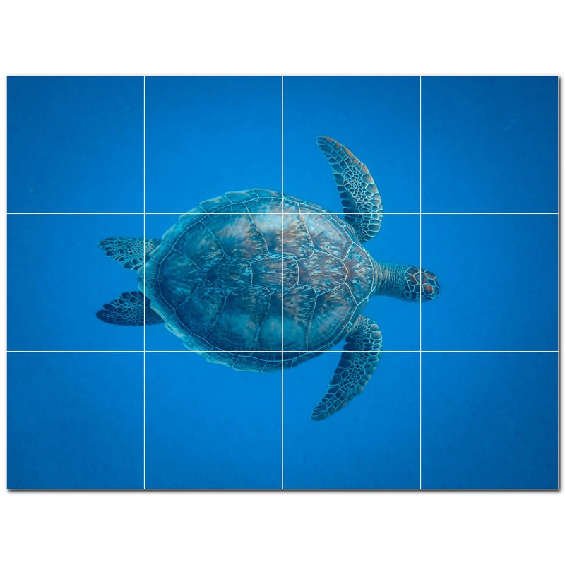 12 x 12