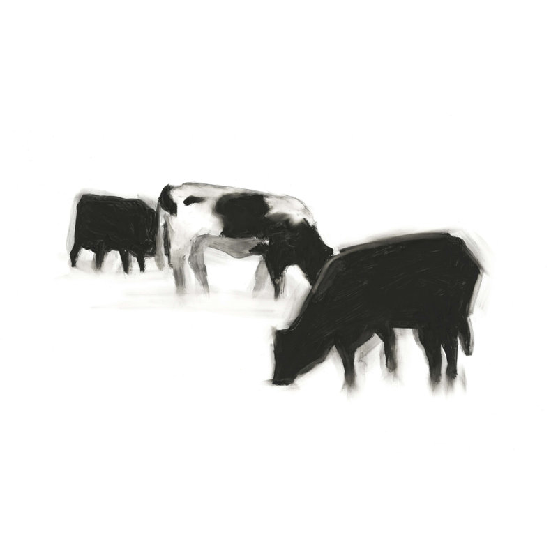 Collection European Farm X, H 24 po x l 36 po x P 1,25 po