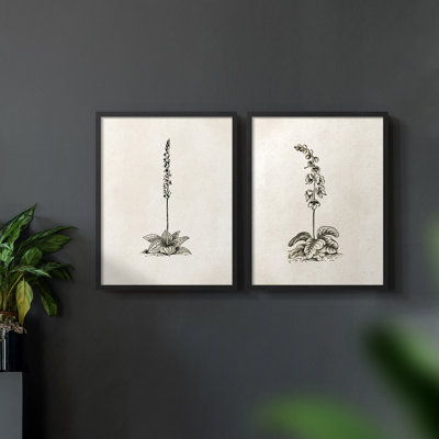 Vintage  Floral LX  -Framed Giclee Print - Set of 2
