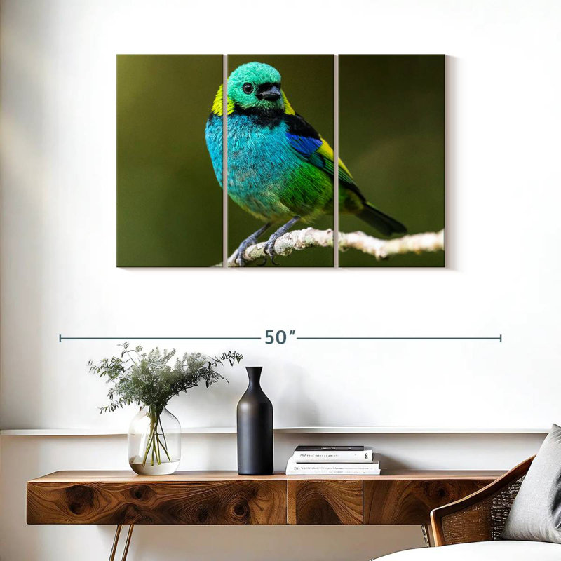 Brampt Green Headed Tanager, 24" H x 38" W