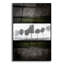 «Black Tree 2» par Lightbox Journal-1942775939