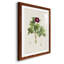 «Pretty Botanicals III», cadre photo-1776683586-1776683587