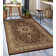 Anoush Oriental Indoor Rug