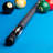 Action ACT109 Exotic Pool Cue Billiard Stick Billiards Cues-4030392