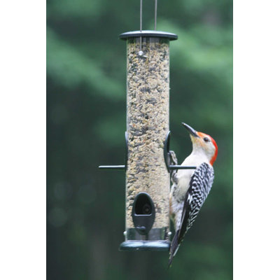 Grande mangeoire d'oiseaux suspendue 15,5 po Birds Choice, 3,5 tasses, vert