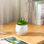 TYHPOT Ceramic Pot Planter-1035786450