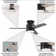 Caliopia 42'' Ceiling Fan with LED Lights