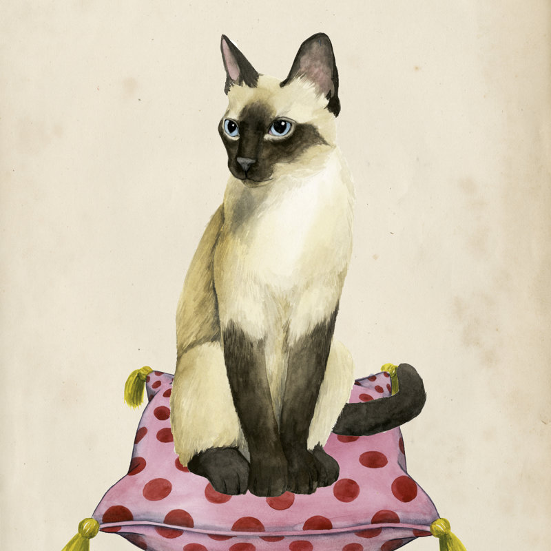 Lady Cat II by Grace Popp - Wrapped Canvas Painting, 30cm H x 30cm W x 3.8cm D