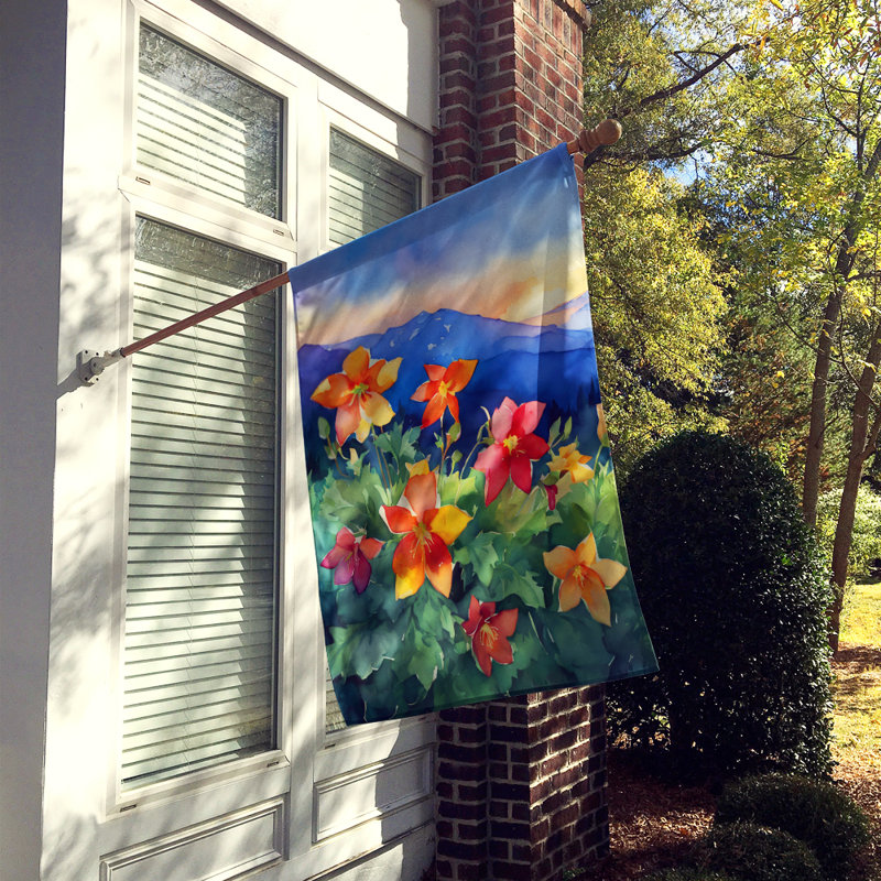 Double Sided 40'' H x 28'' W Polyester House Flag
