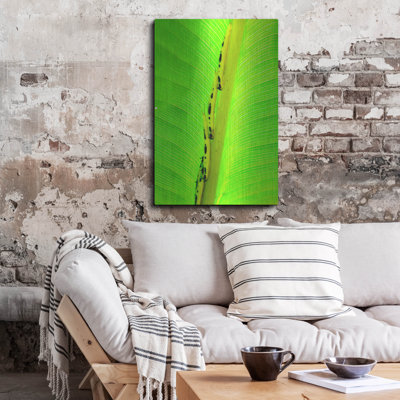 «Suite du chef» par Dana Brett Munach