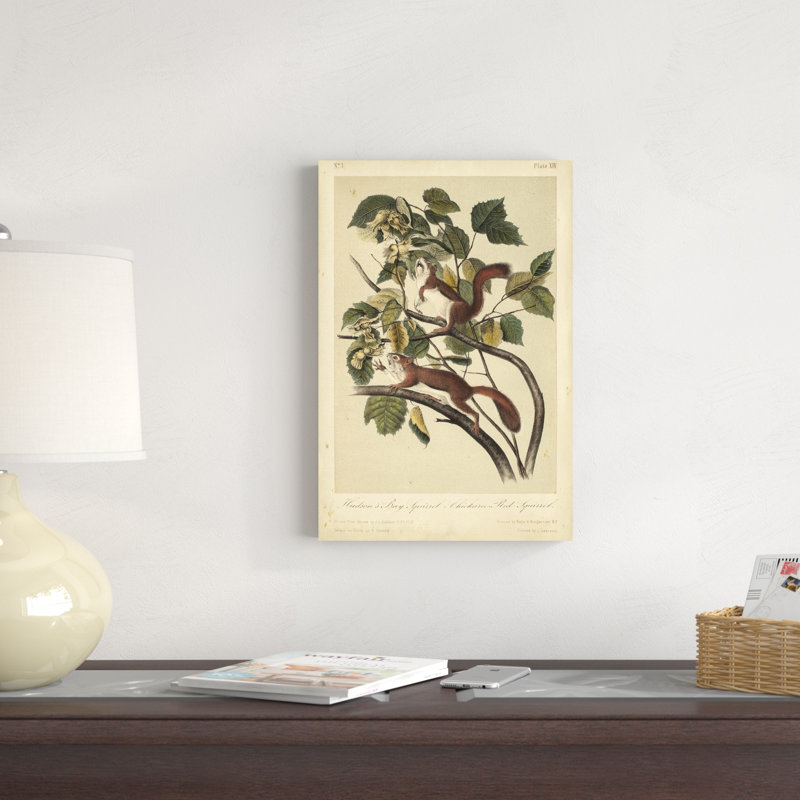 Écureuil Audubon II, H 18 po x l 12 po x P 1,25 po