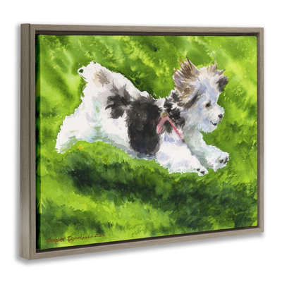 Cadre flottant Happy Maltipoo, design par George Dyachenko